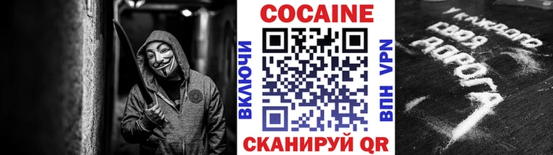 Cocaine FishScale  дарнет шоп  Дубна 