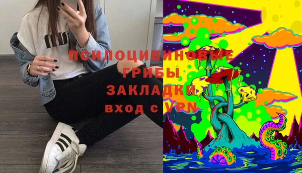 ПСИЛОЦИБИНОВЫЕ ГРИБЫ Слюдянка