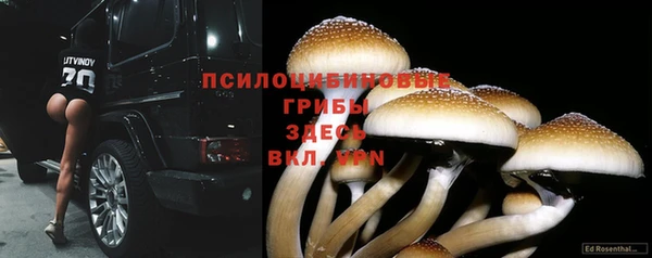 экстази Алексеевка