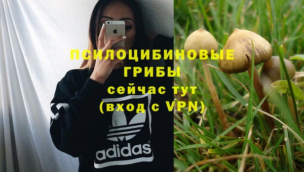 ПСИЛОЦИБИНОВЫЕ ГРИБЫ Слюдянка